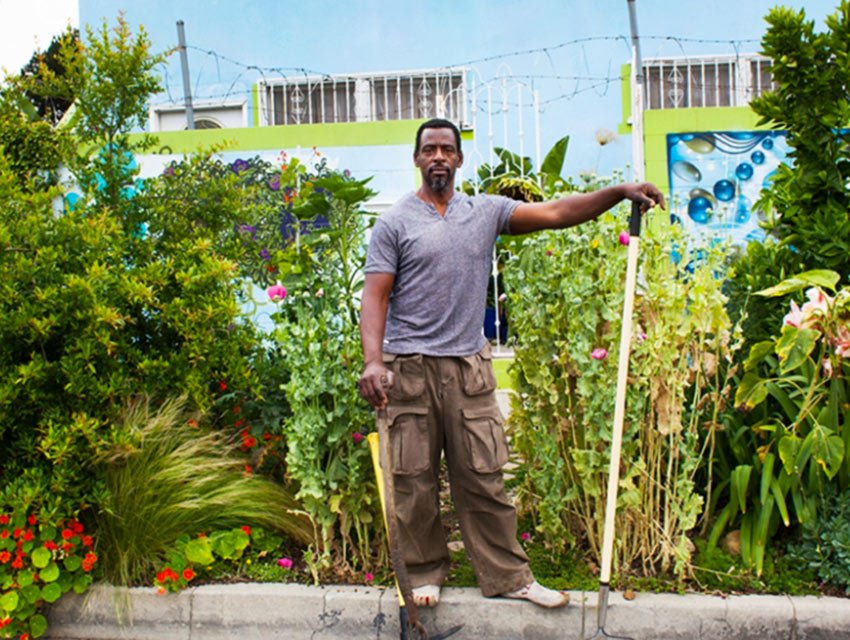Los Angeles Legalizes Urban Gardening, Now #Plantsomeshit - Jefferey ...